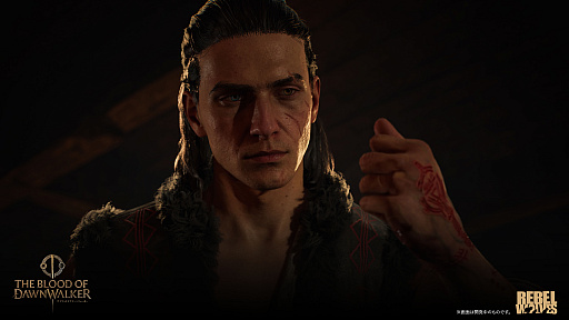 画像ギャラリー No.014のサムネイル画像 / 「The Blood of Dawnwalker」，スキルと能力の詳細を公開。剣術や魔術，吸血鬼の力を組み合わせて自分だけの戦闘スタイルを構築
