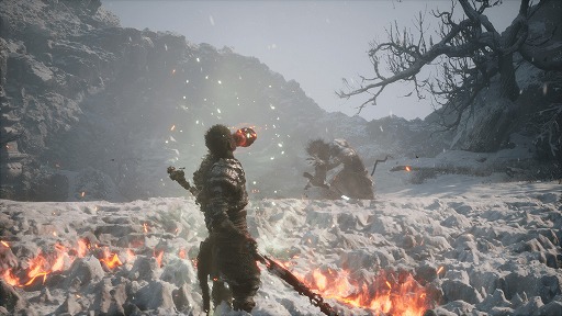画像ギャラリー No.003のサムネイル画像 / 「黒神話:悟空」,PS5パッケージ版を本日発売。西遊記をベースにした超絶グラフィックスのアクションRPG