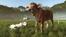 画像ギャラリー No.009のサムネイル画像 / 「Farming Simulator 25」,コンテンツ拡張パック「Beans & Alpacas」のゲームプレイ映像を初公開