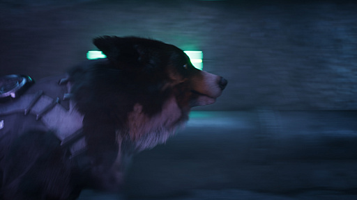 画像ギャラリー No.002のサムネイル画像 / 犬派待望!? 2025年リリースのステルスアクション「Barkour」では,犬のエージェントが大活躍
