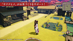 画像ギャラリー No.005のサムネイル画像 / 「龍の国 ルーンファクトリー」，無料追加コンテンツ「天穂のサクナヒメ」の紹介映像を解禁。配信ガイドラインとファンキットも公開に