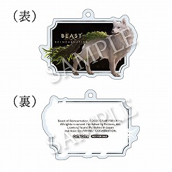 画像ギャラリー No.009のサムネイル画像 / ゲームフリークの新作「Beast of Reincarnation」,登場キャラクターの担当声優を公開。パッケージ版の店舗別購入特典の情報も明らかに