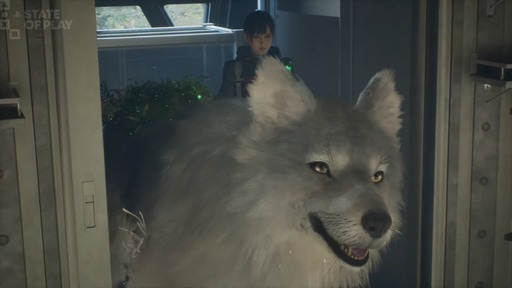 画像ギャラリー No.012のサムネイル画像 / ゲームフリークの最新作「Beast of Reincarnation」,2026年8月4日に発売。終末後の日本を舞台に,女性主人公と犬の冒険を描く