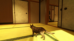 まだ猫は逃げますか?
