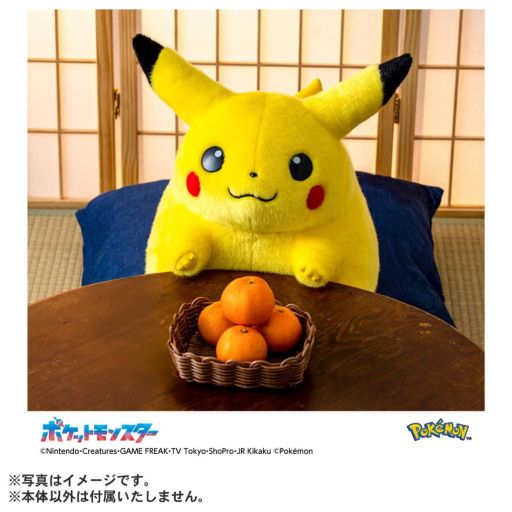 画像ギャラリー No.004のサムネイル画像 / ピカチュウの等身大ぬいぐるみ「おかえり!ピカチュウ1/1」,次回抽選販売の受付を5月1日に開始。過去に当選した人は応募不可