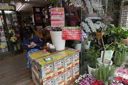 画像ギャラリー No.011のサムネイル画像 / タカラトミーのお膝元・青戸がまるごと「人生ゲーム」に！　「第１回まちあそび人生ゲームIN葛飾」レポート